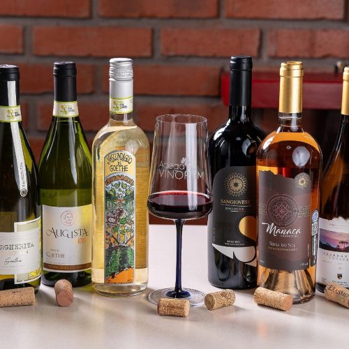 Vinhos dos Vales da Uva Goethe ganham destaque no Festival Gastronômico e Cultural de Indaial 2025