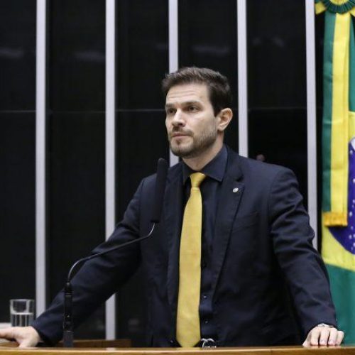 Comissão aprova criar cadastro de condenados por maus-tratos contra animais